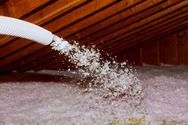 Best Eco-Friendly Insulation in Bryan, OH