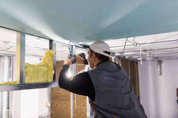 Best Cellulose Insulation in Bryan, OH