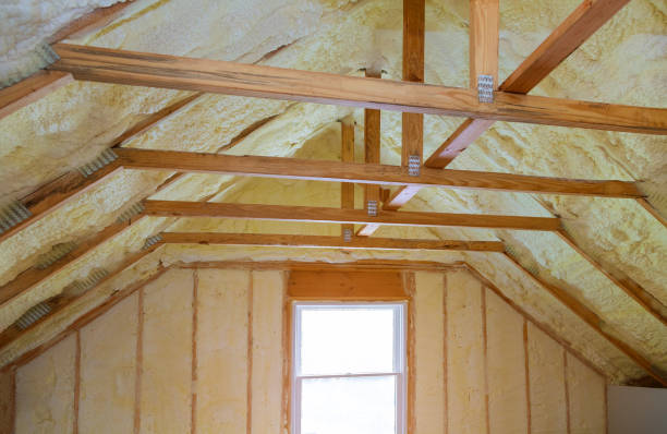 Best Geographic-Specific Insulation Services in Bryan, OH
